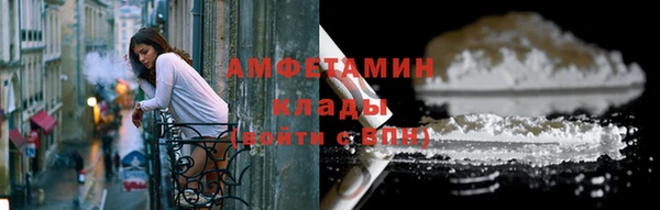молекула духа Богородицк