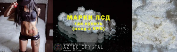 молекула духа Богородицк