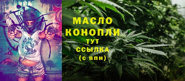 молекула духа Богородицк