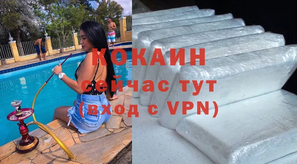 молекула духа Богородицк
