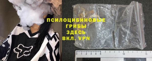 молекула духа Богородицк