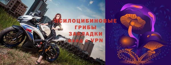 молекула духа Богородицк