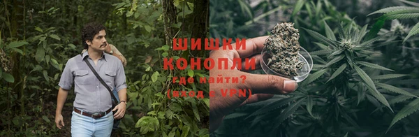 шишки Богданович