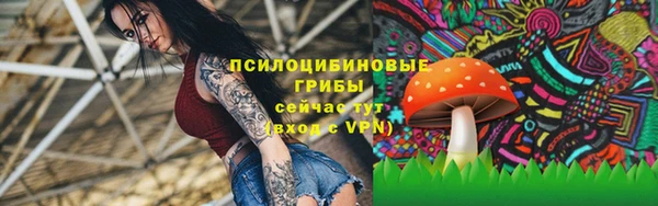 шишки Богданович