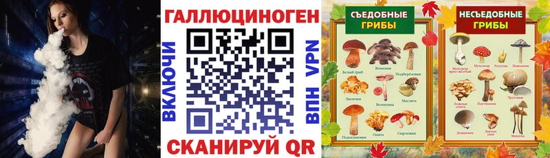 Псилоцибиновые грибы Psilocybe  где найти наркотики  Ковылкино 